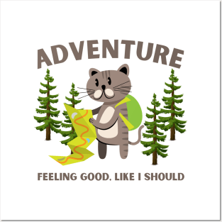 adventure: feeling good, like i should Posters and Art